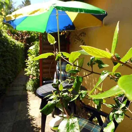 Ferienappartements Haus Fischersruh Lauterbach  Exterior photo